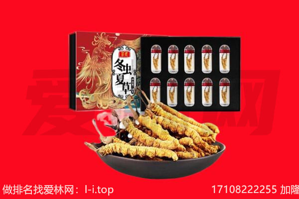 秦皇岛市北戴河回收虫草.jpg
